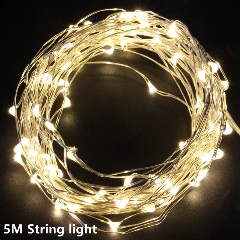 Photo Clip Light Banner