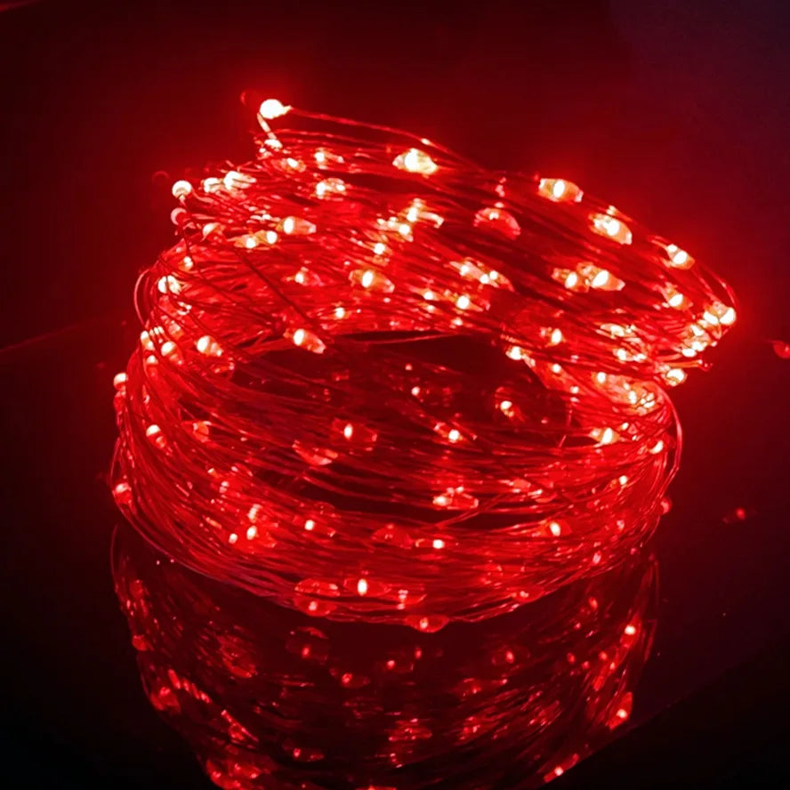5M LED String Lights