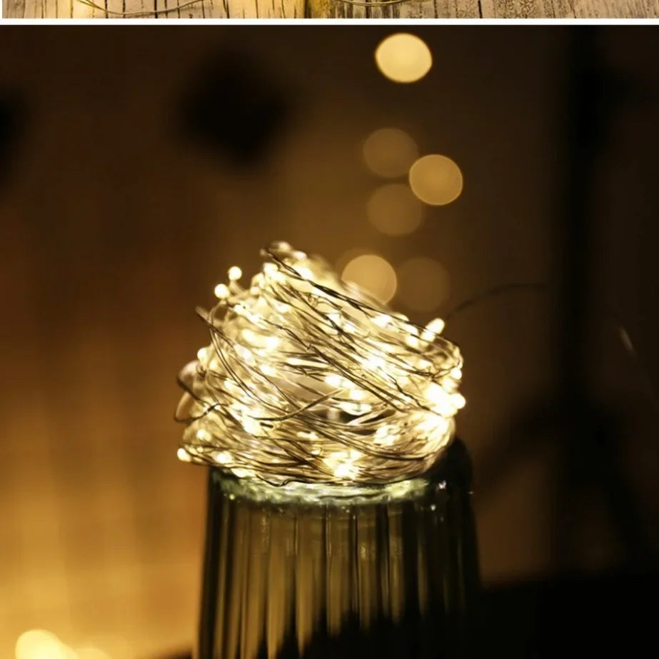 5M LED String Lights