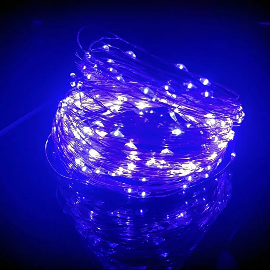 5M LED String Lights