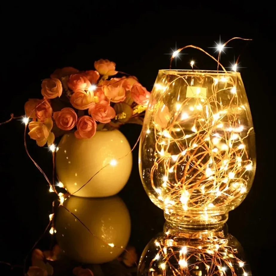 5M LED String Lights