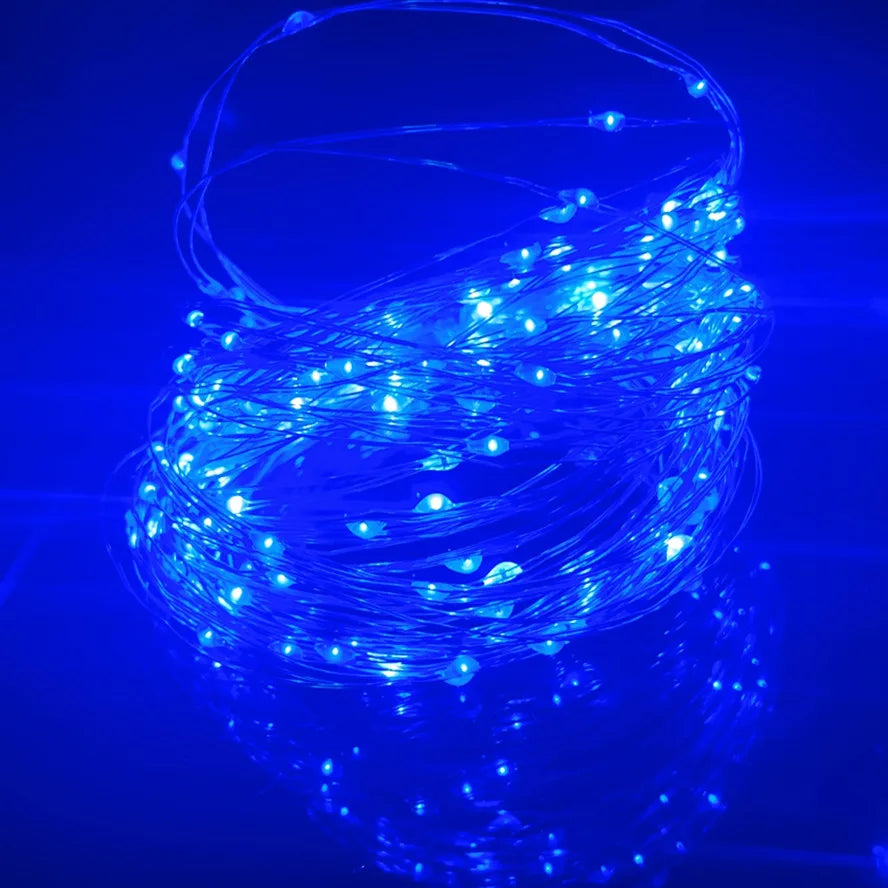 5M LED String Lights