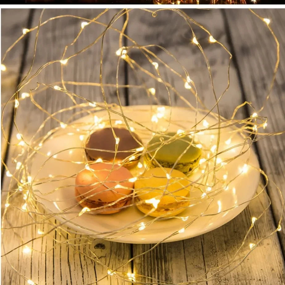 5M LED String Lights