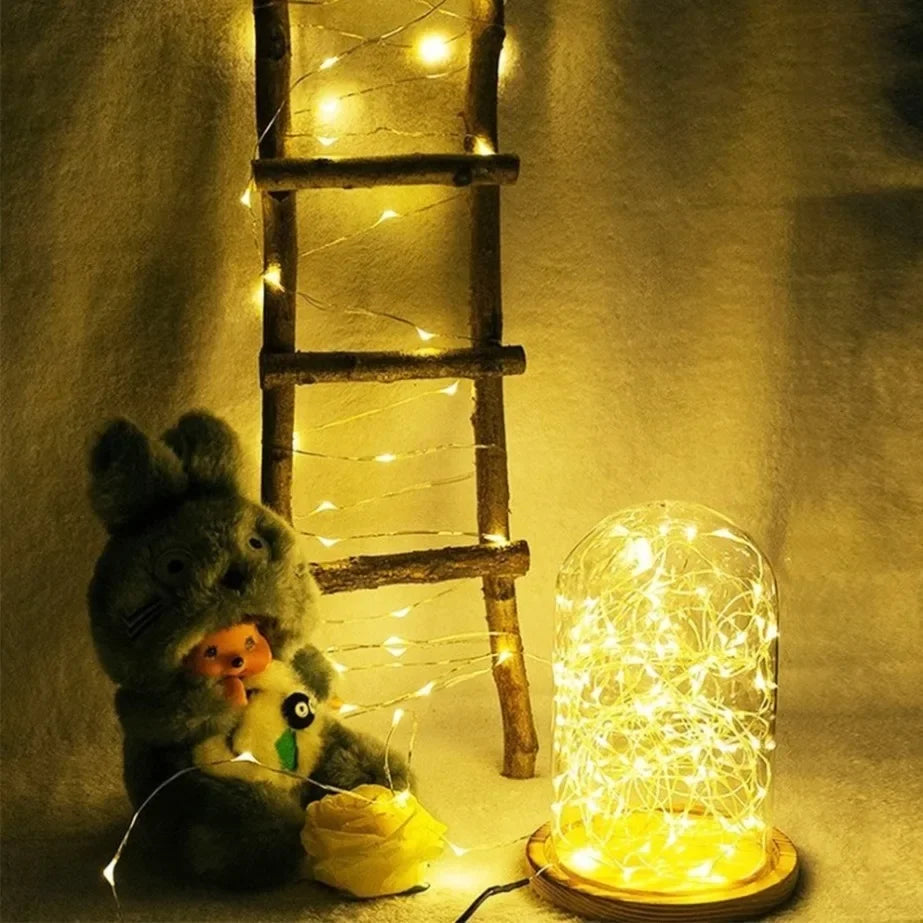 5M LED String Lights