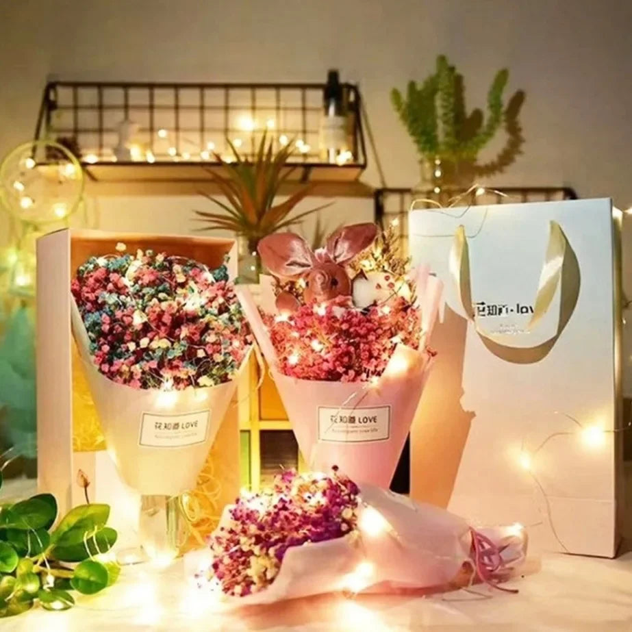 5M LED String Lights