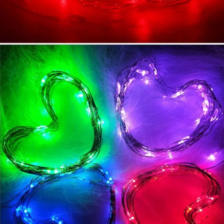 5M LED String Lights