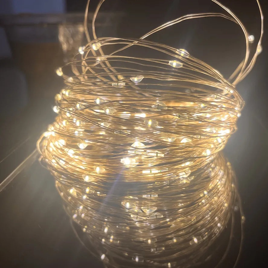 5M LED String Lights