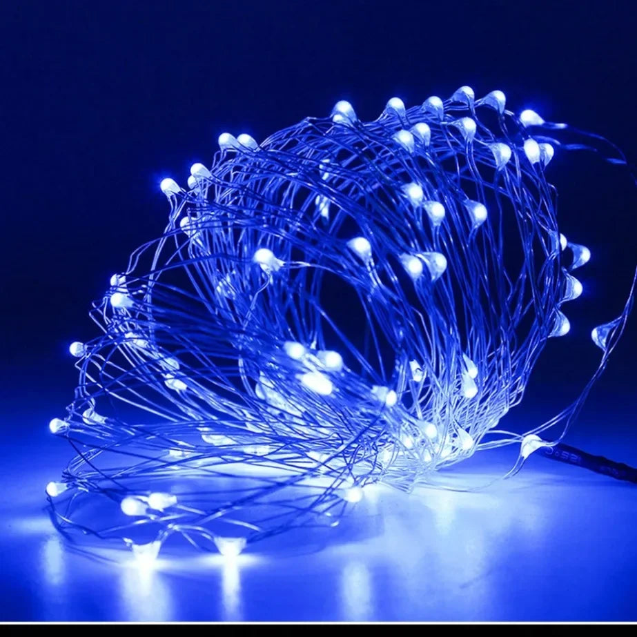 5M LED String Lights