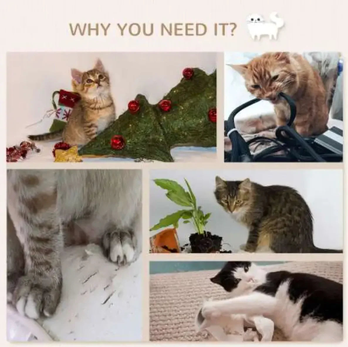 Comfy Cat Climb & Lounge