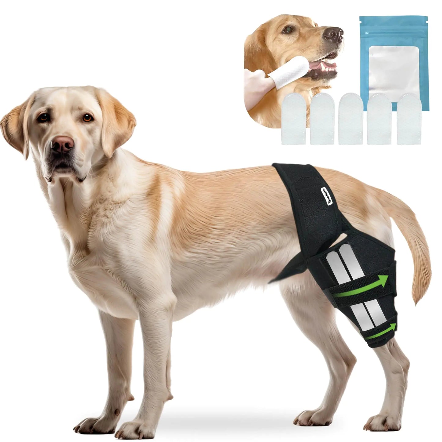 Canine Joint Support Knee Brace
