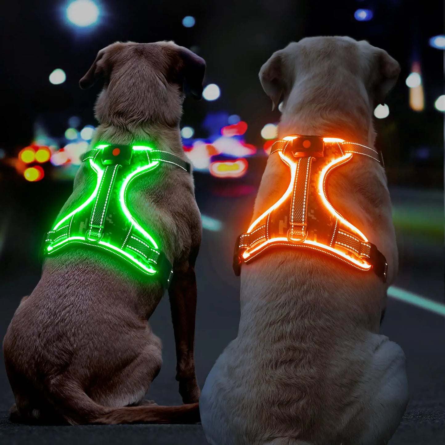 GlowPup LED Comfort Harness