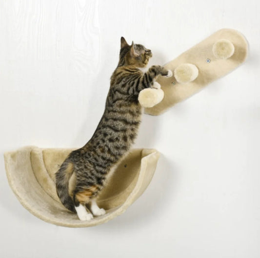 Comfy Cat Climb & Lounge