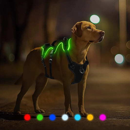 Light Up Dog Harness 7 Color Changing LED Dog Harness Rechargeable No Pull Dog Vest Harness Adjustable Rainproof Pet Harness Glowing Dog Vest Harness for Dogs Night Walking