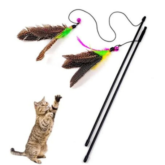 Cat Teaser Interactive Toy