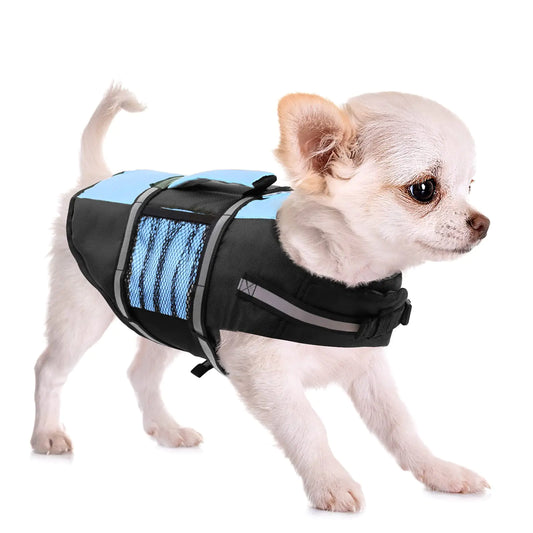 Cute. Comfy. Safe. Swim!