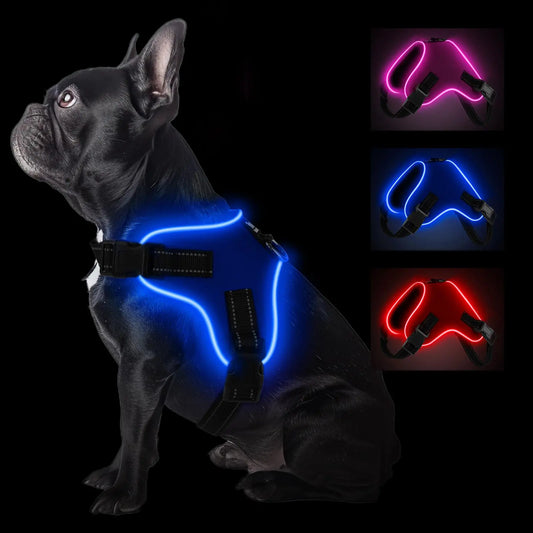 GlowPup LED Harness