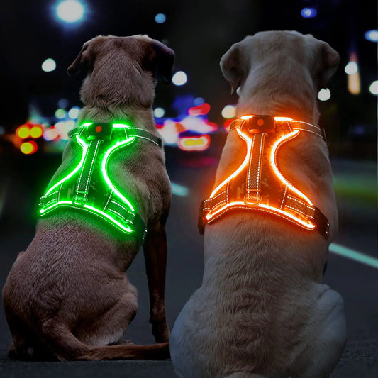 GlowPup LED Comfort Harness