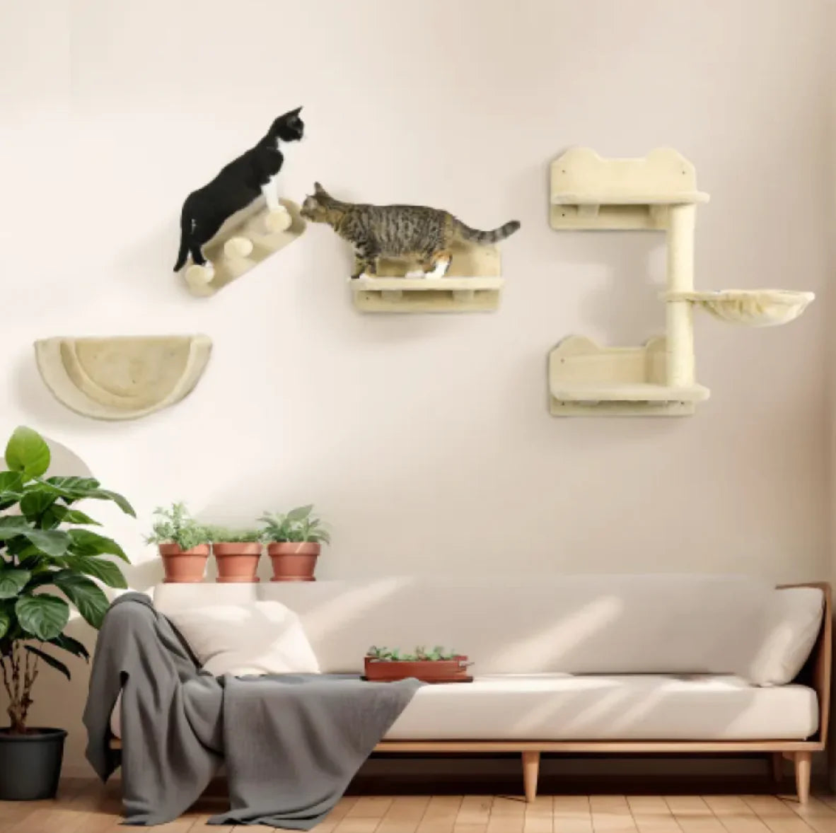 Comfy Cat Climb & Lounge