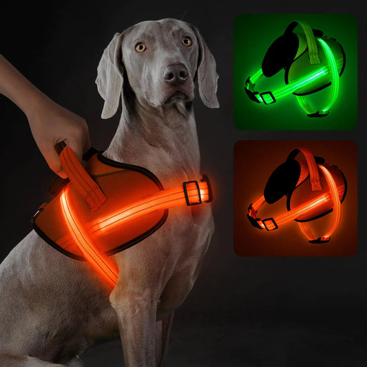 GlowGuide Dog Harness