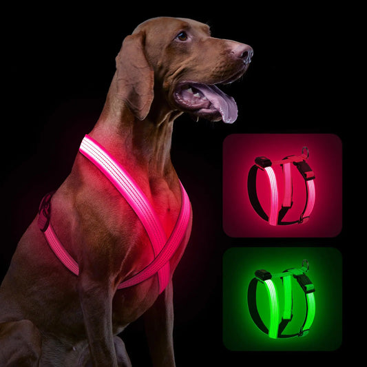 Luminous LED Dog Harness
