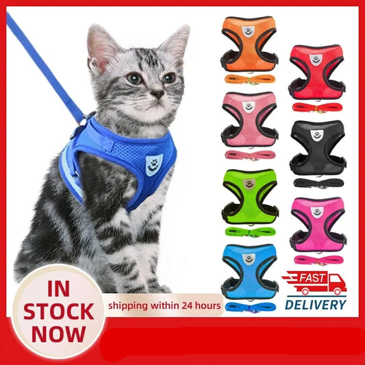 Pet Harness